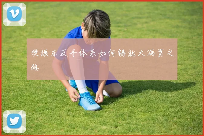 樊振东反手体系如何铸就大满贯之路
