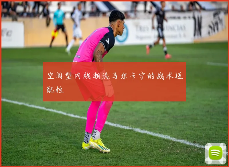 空间型内线潮流马尔卡宁的战术适配性